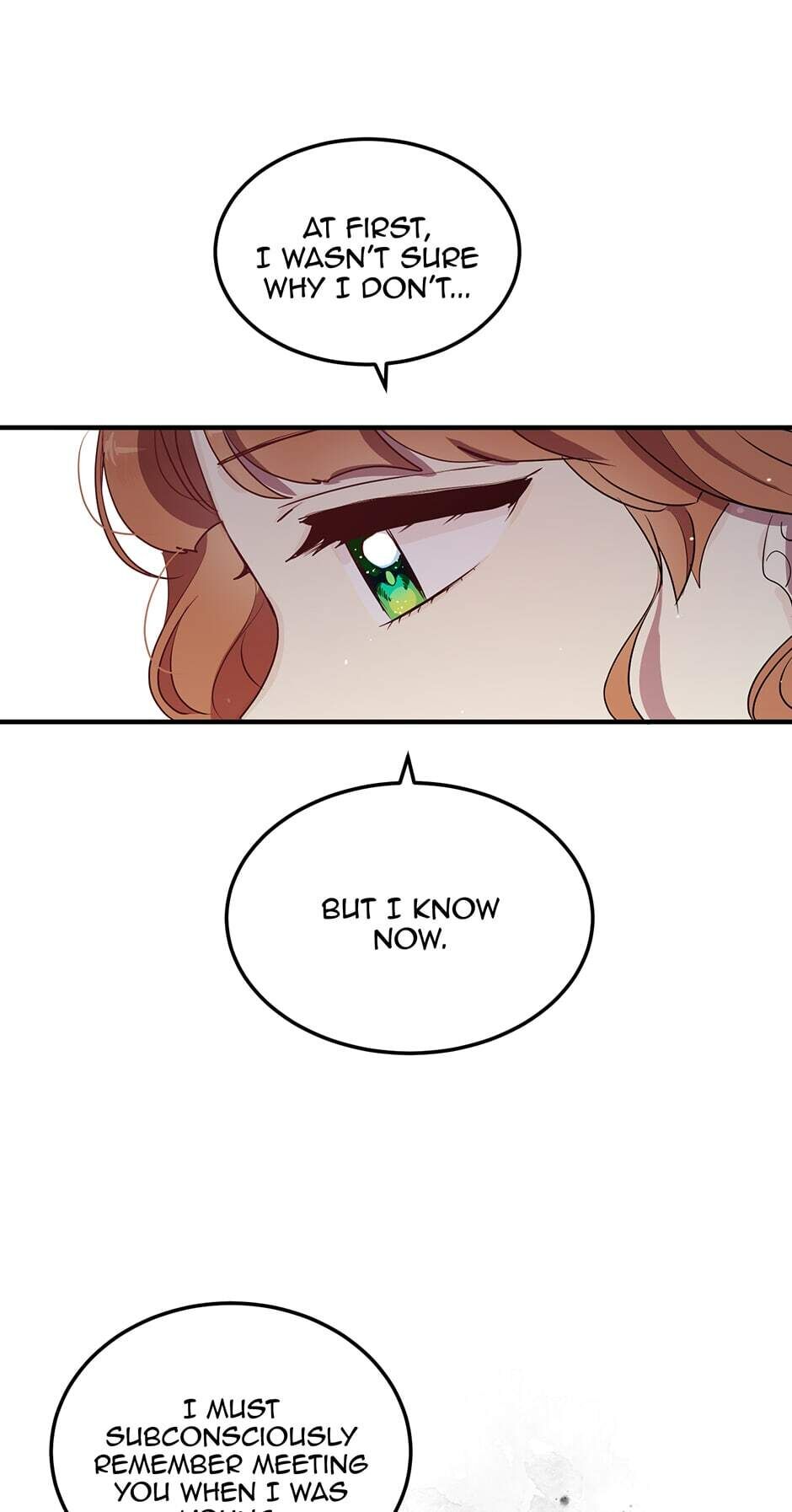 Why Are You Doing This, Duke? Chapter 119 page 12 - Chapter 119: Our Memory