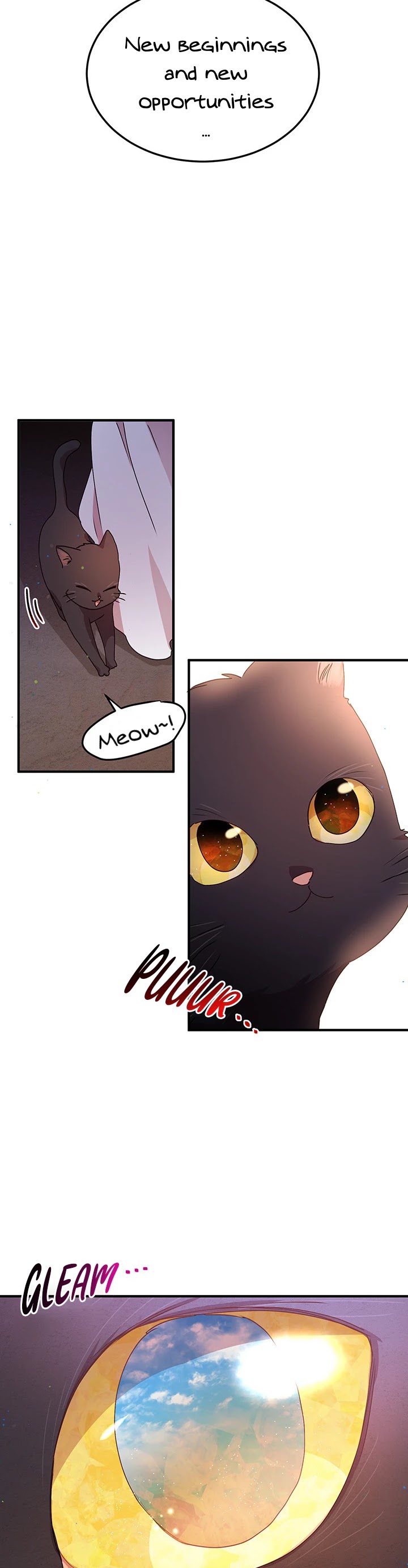 Why Are You Doing This, Duke? Chapter 81 page 6 - Chapter 81