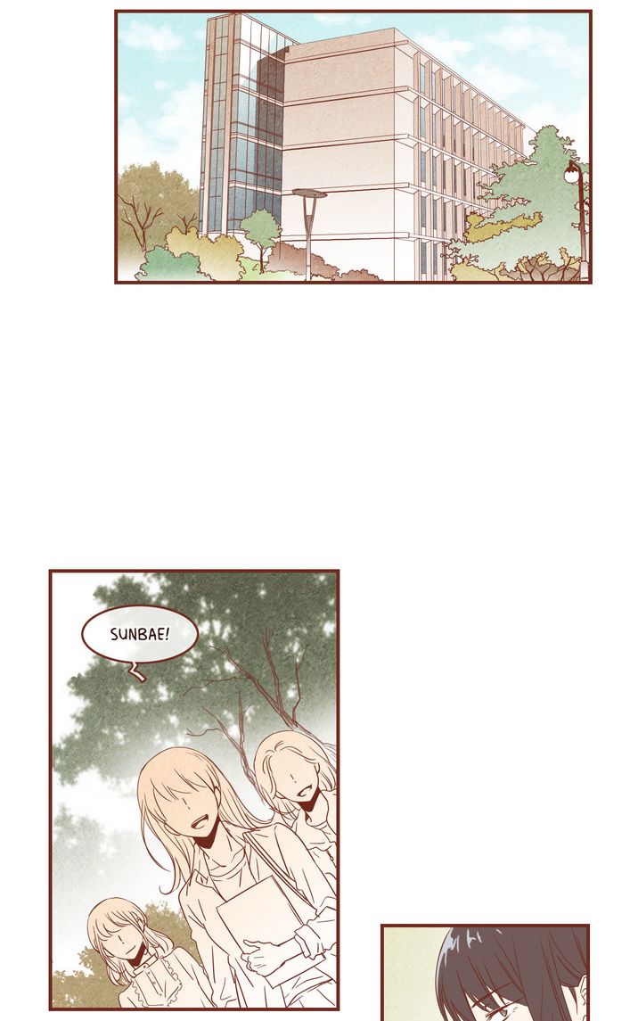 Why Did Men Stop Wearing High Heels? Chapter 31 page 13 - Chapter 31: Episode 31