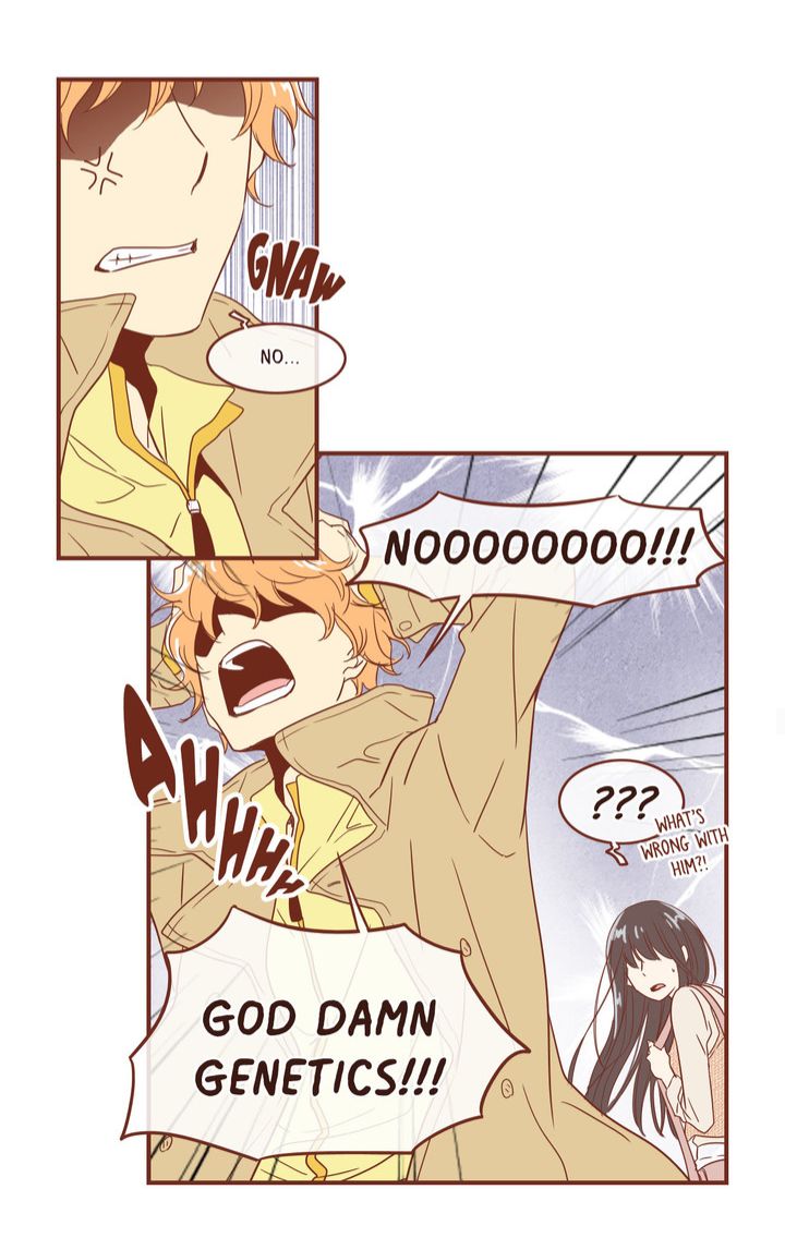 Why Did Men Stop Wearing High Heels? Chapter 31 page 28 - Chapter 31: Episode 31