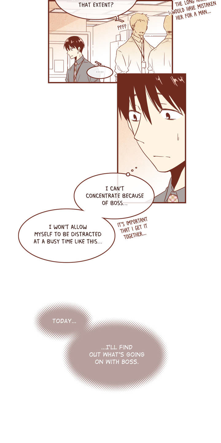 Why Did Men Stop Wearing High Heels? Chapter 43 page 20 - Chapter 43