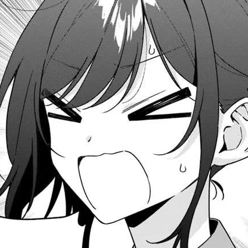 Why Don't You Make the Twins Your "Girlfriend" Together? Chapter 15.2 cover