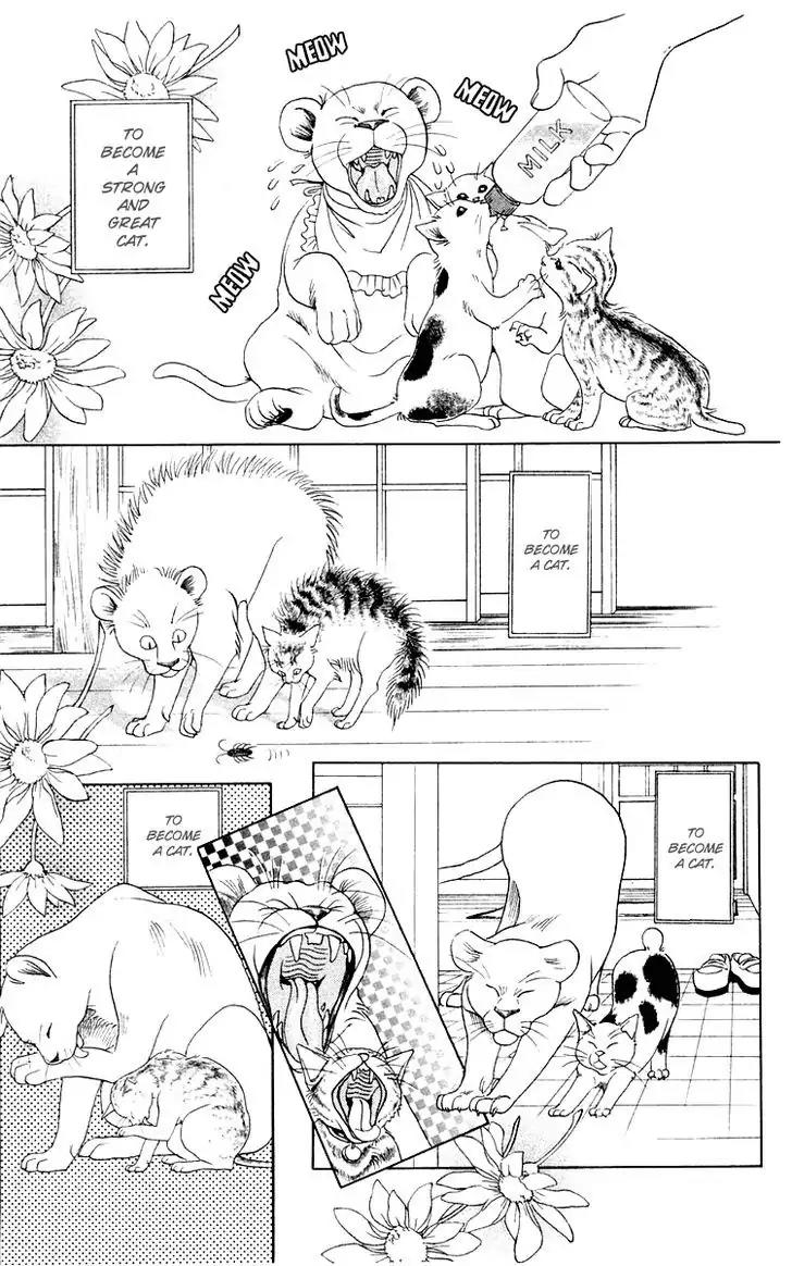 Wild Cats Chapter 1 page 11 - Chapter 1