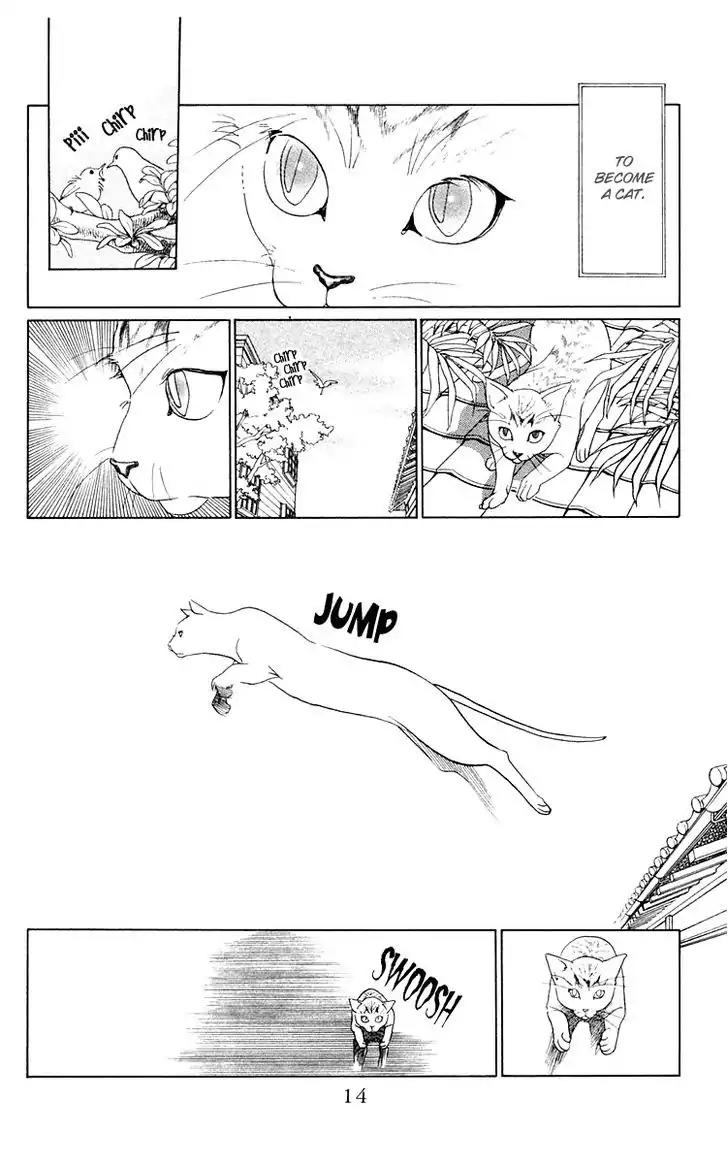 Wild Cats Chapter 1 page 12 - Chapter 1