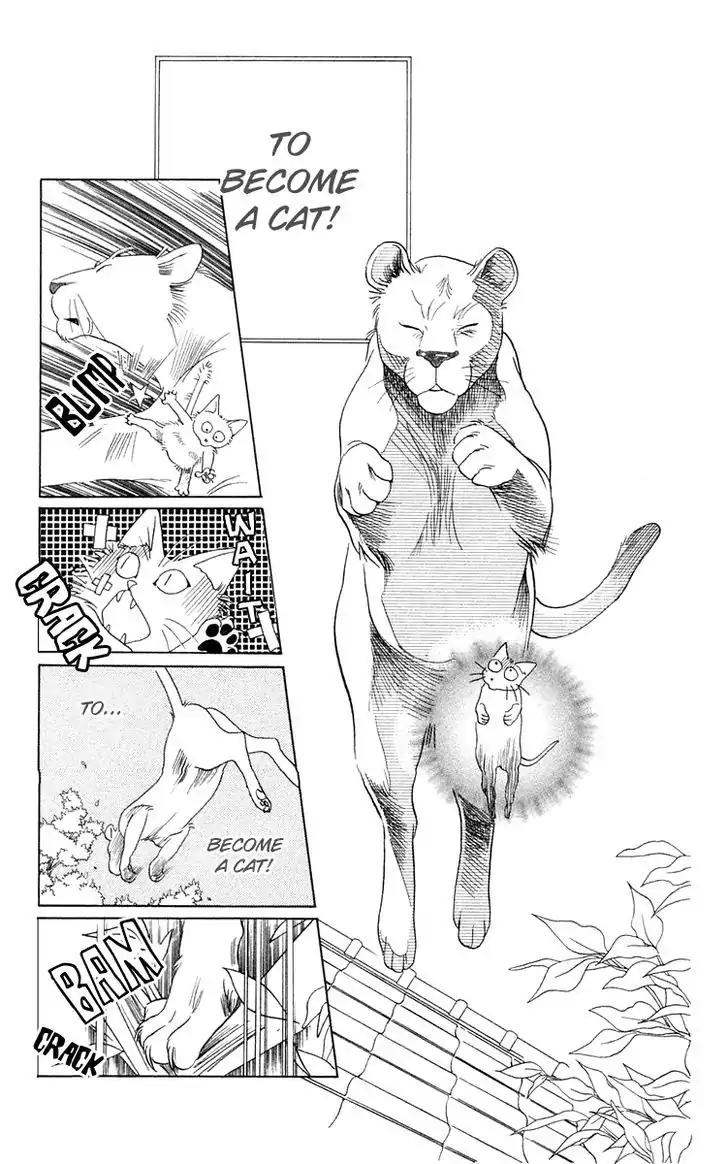 Wild Cats Chapter 1 page 13 - Chapter 1