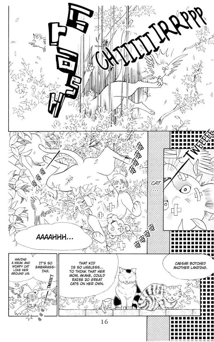 Wild Cats Chapter 1 page 14 - Chapter 1