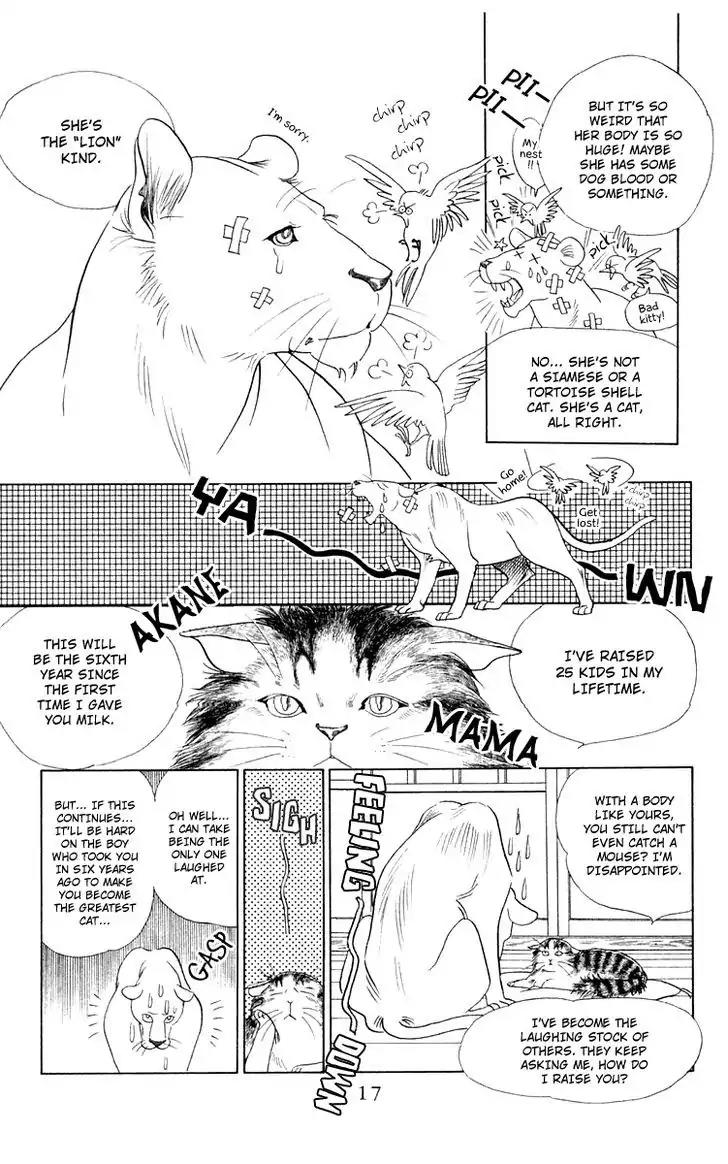 Wild Cats Chapter 1 page 15 - Chapter 1