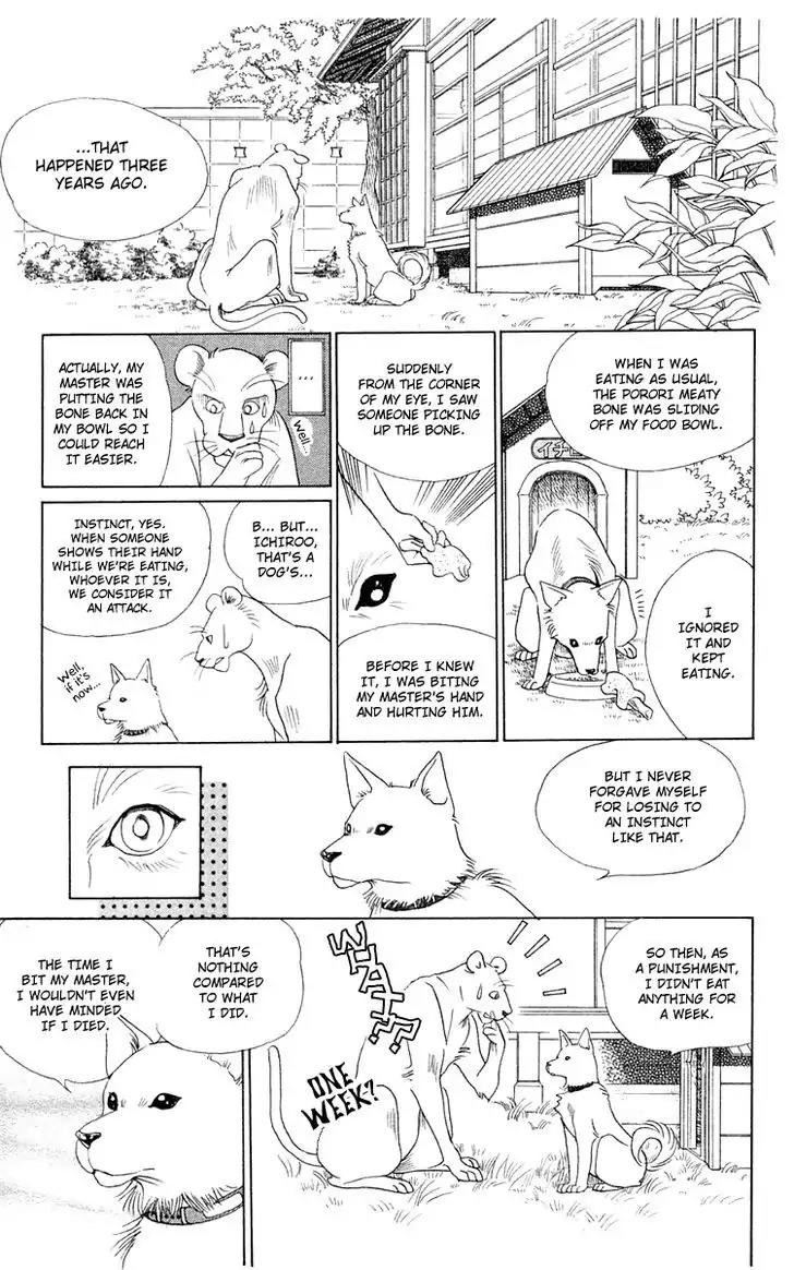 Wild Cats Chapter 1 page 19 - Chapter 1