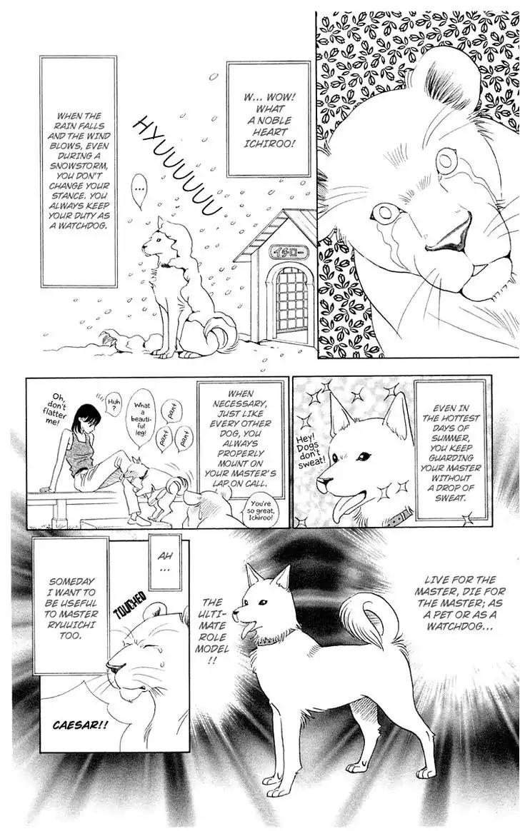 Wild Cats Chapter 1 page 20 - Chapter 1