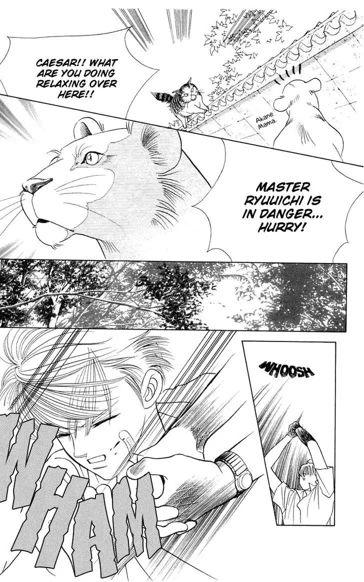 Wild Cats Chapter 1 page 21 - Chapter 1