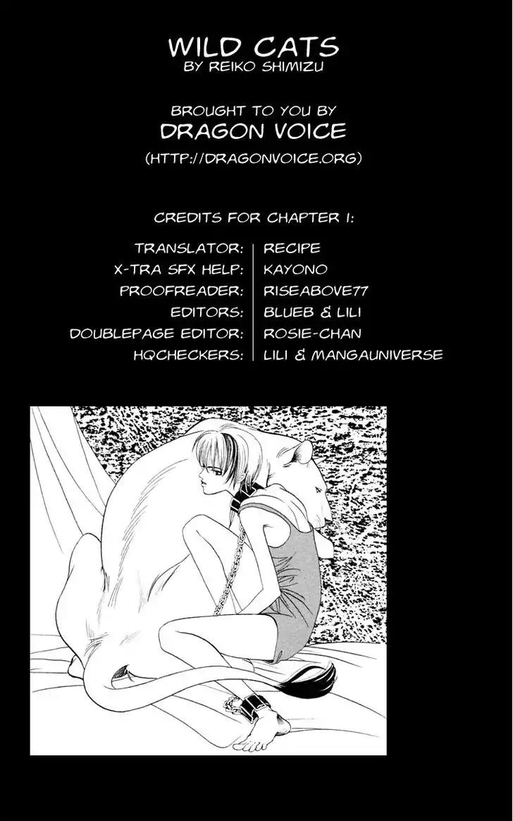 Wild Cats Chapter 1 page 4 - Chapter 1