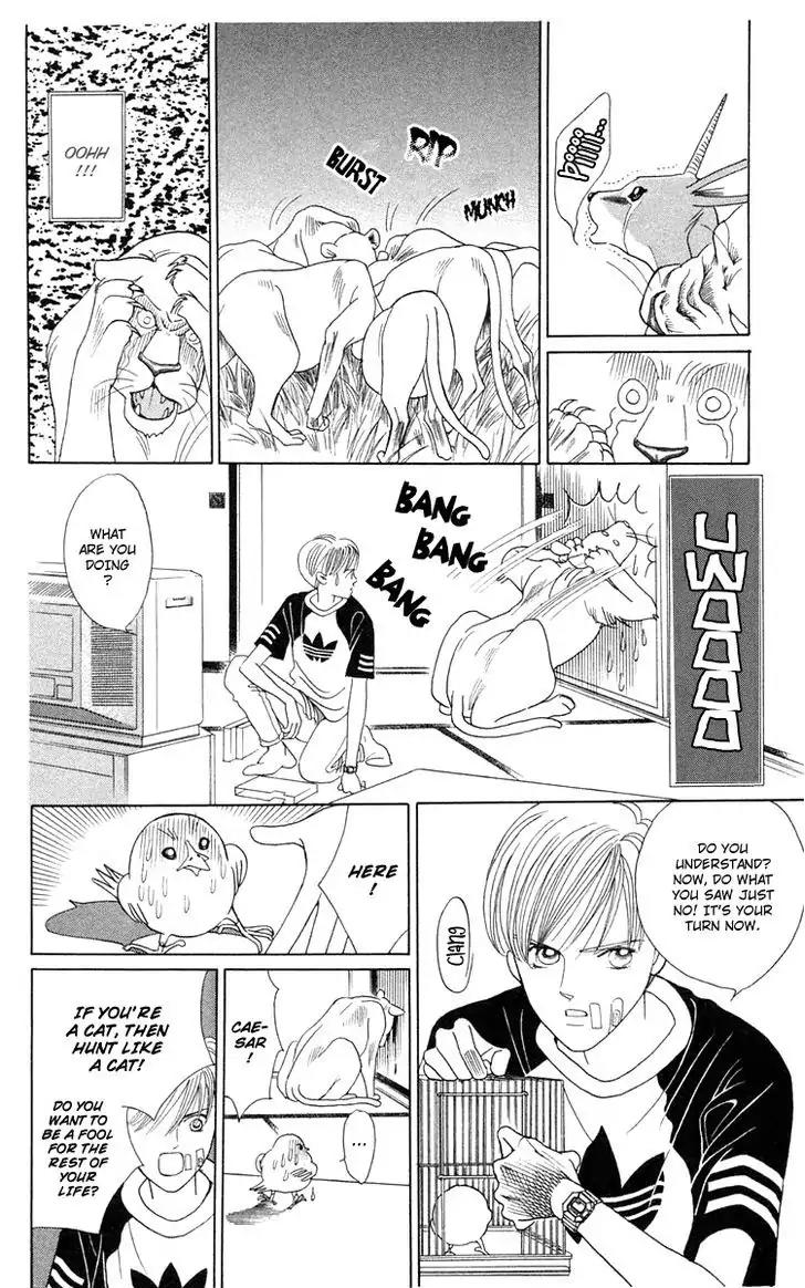 Wild Cats Chapter 1 page 40 - Chapter 1