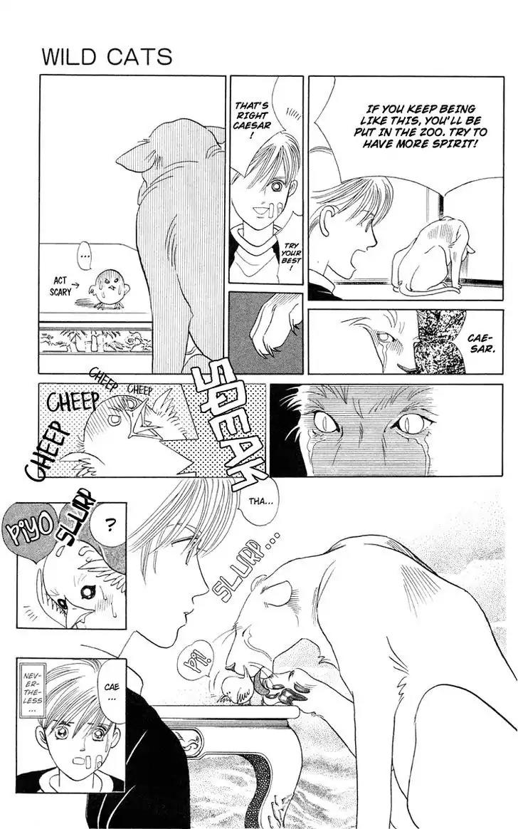 Wild Cats Chapter 1 page 41 - Chapter 1