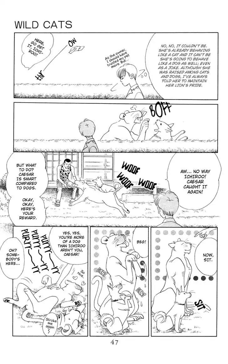Wild Cats Chapter 1 page 45 - Chapter 1