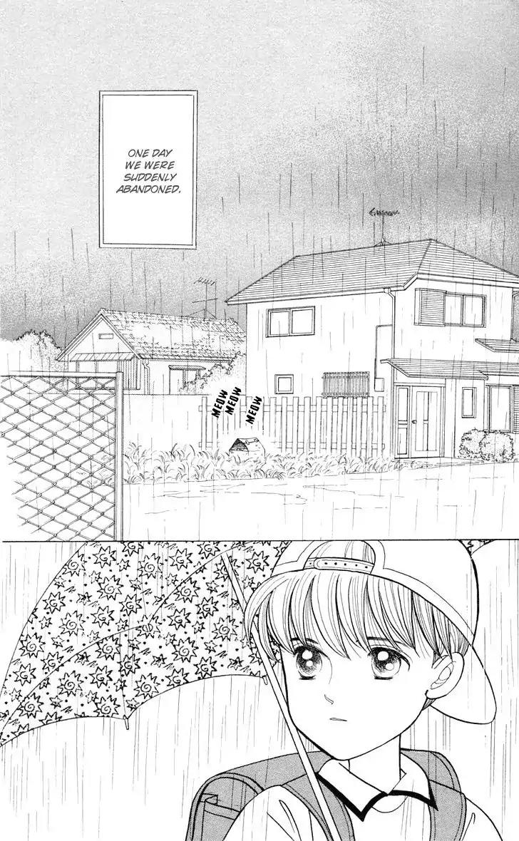 Wild Cats Chapter 1 page 6 - Chapter 1