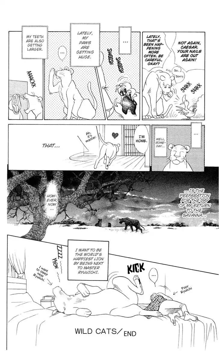 Wild Cats Chapter 1 page 70 - Chapter 1