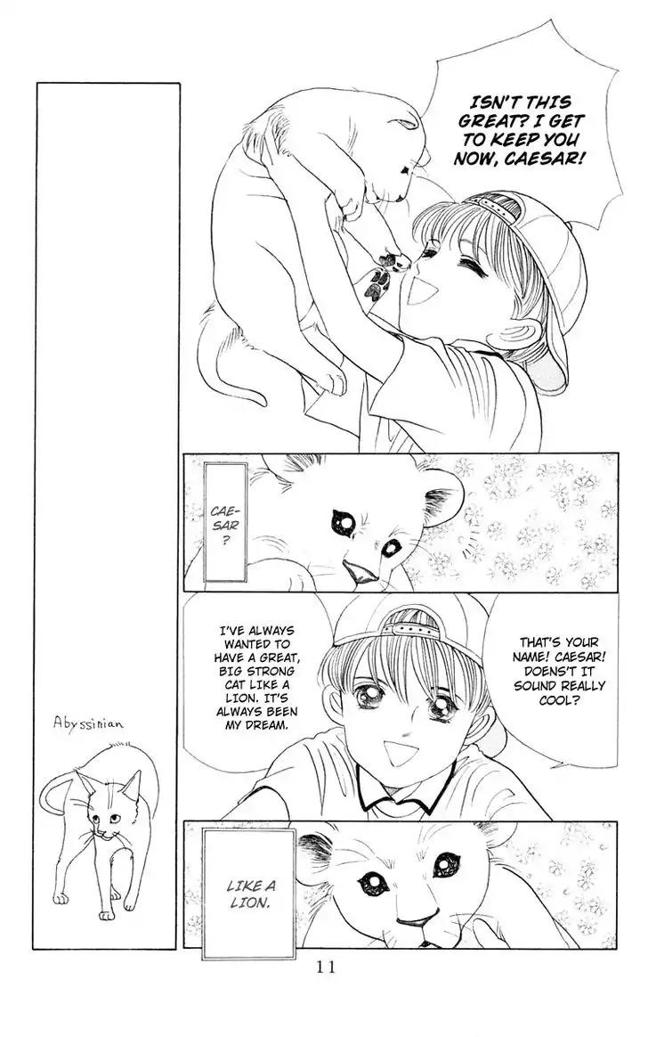 Wild Cats Chapter 1 page 9 - Chapter 1
