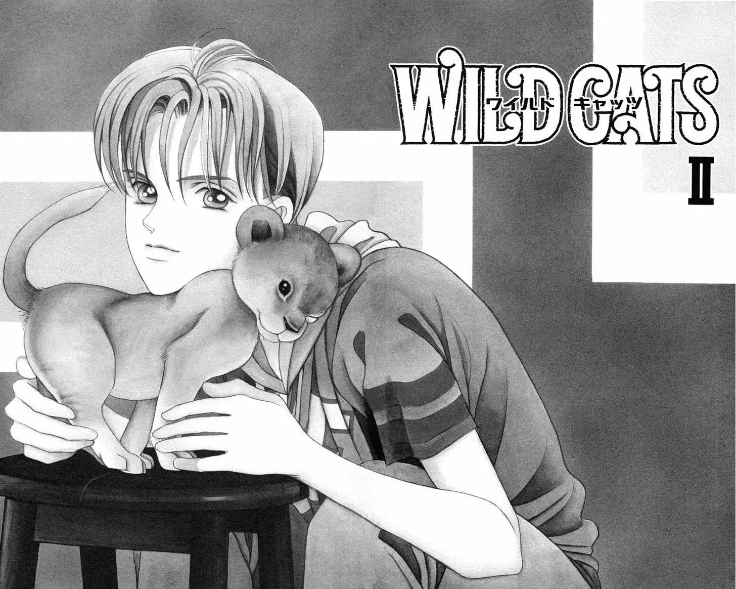 Wild Cats Chapter 2 page 1 - Chapter 2