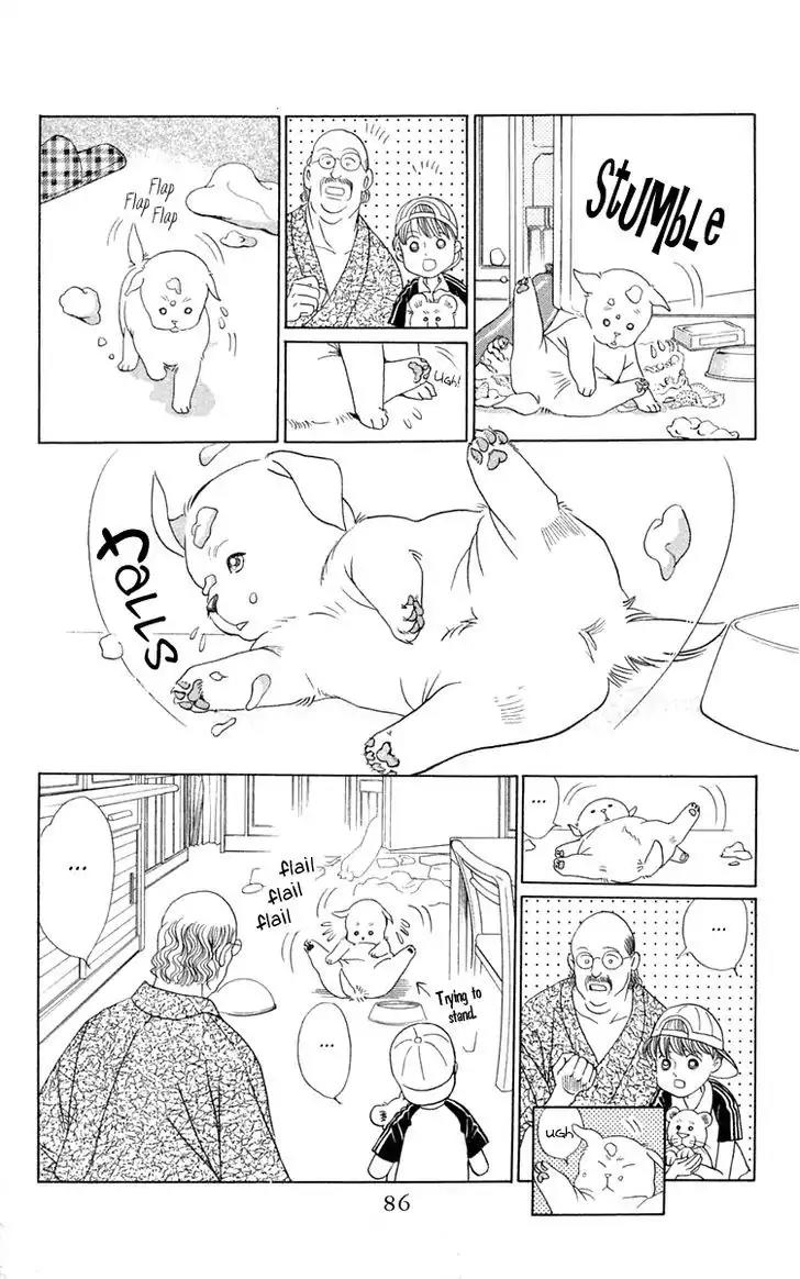 Wild Cats Chapter 2 page 12 - Chapter 2