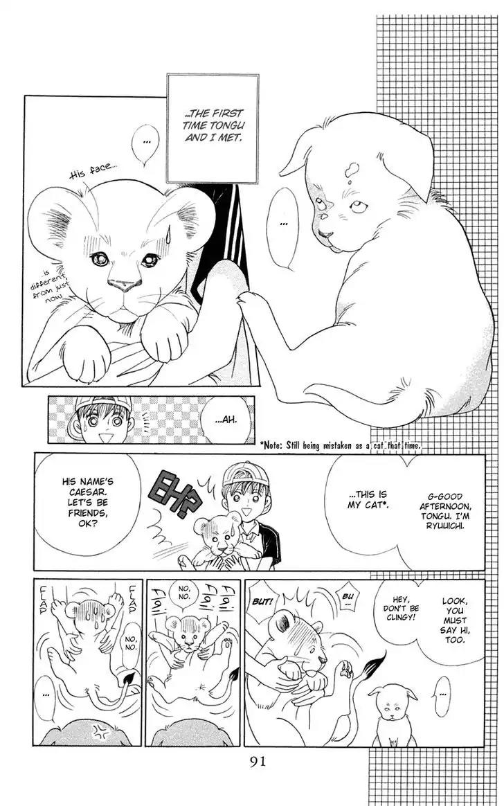 Wild Cats Chapter 2 page 17 - Chapter 2