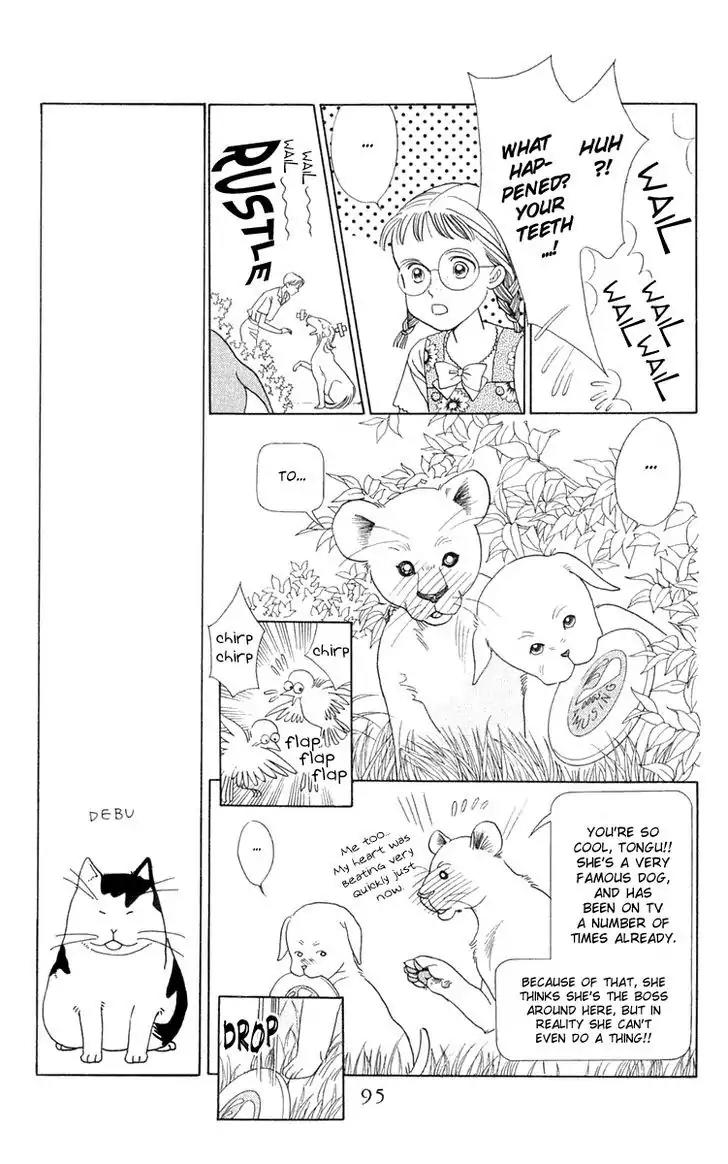 Wild Cats Chapter 2 page 21 - Chapter 2
