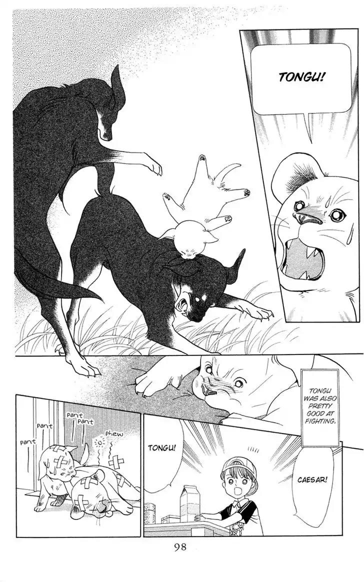 Wild Cats Chapter 2 page 24 - Chapter 2