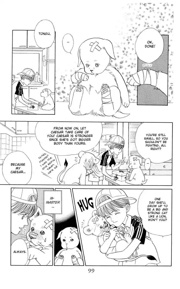 Wild Cats Chapter 2 page 25 - Chapter 2