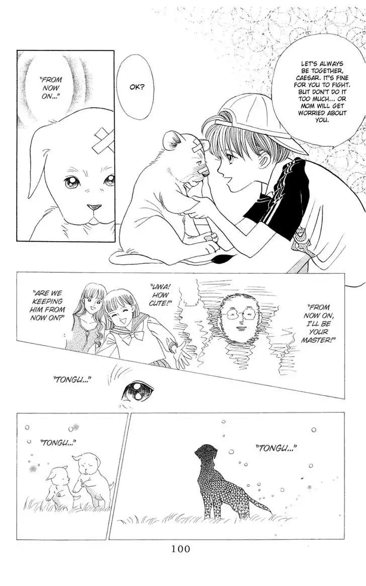 Wild Cats Chapter 2 page 26 - Chapter 2