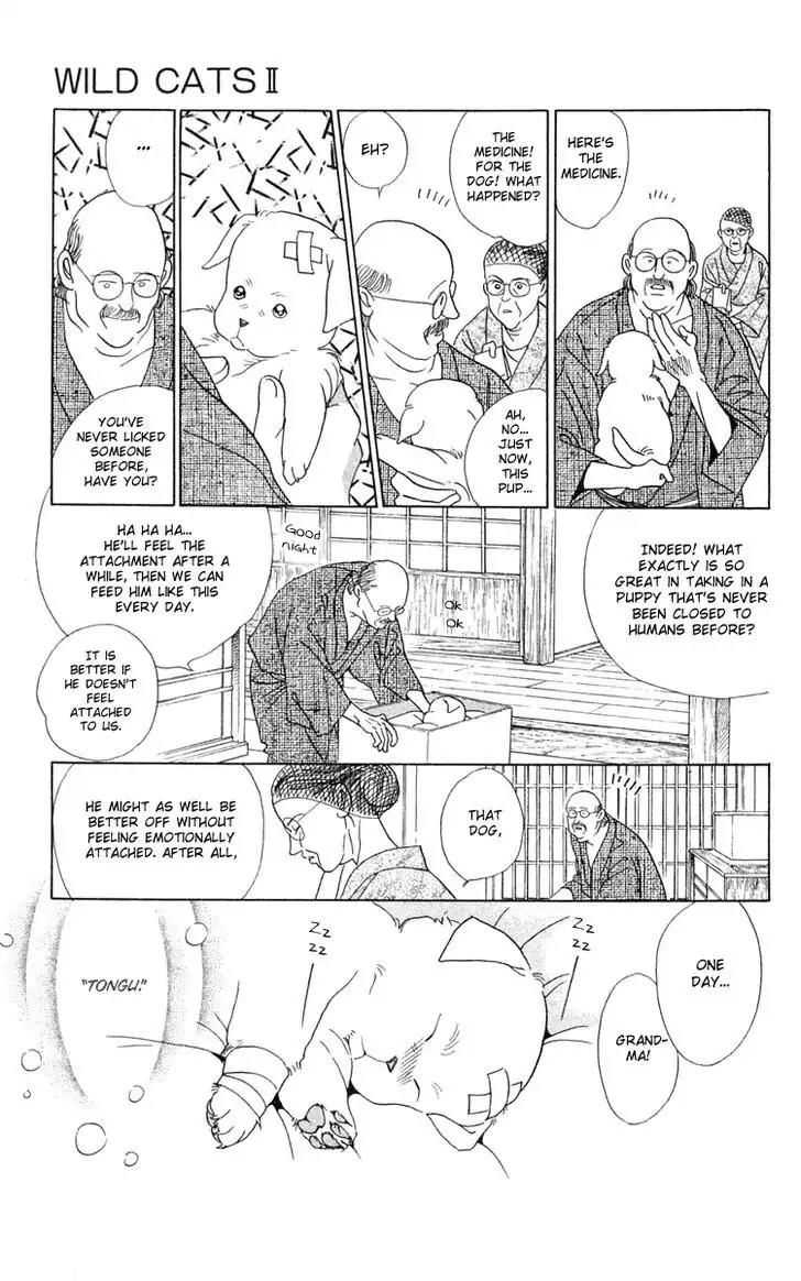 Wild Cats Chapter 2 page 29 - Chapter 2