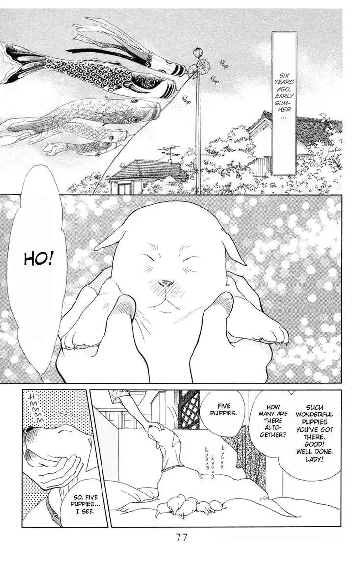 Wild Cats Chapter 2 page 3 - Chapter 2