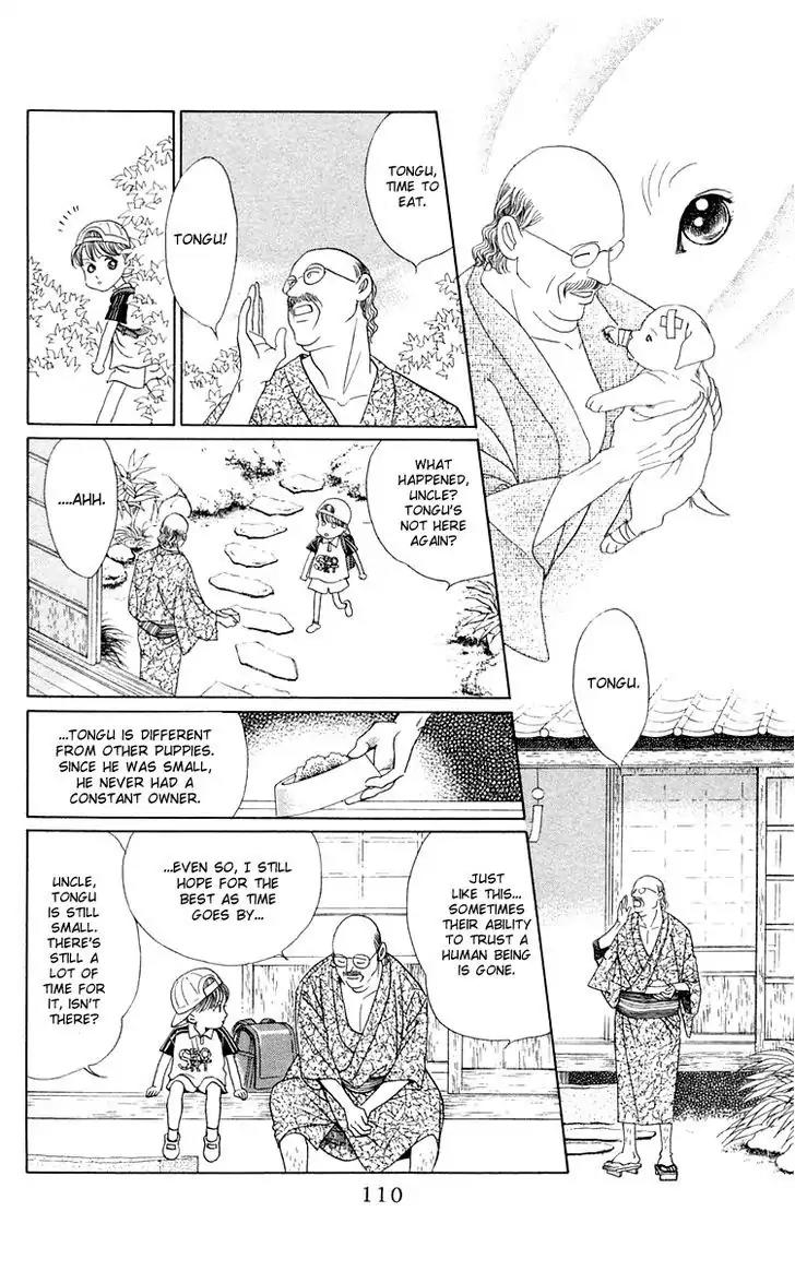 Wild Cats Chapter 2 page 36 - Chapter 2