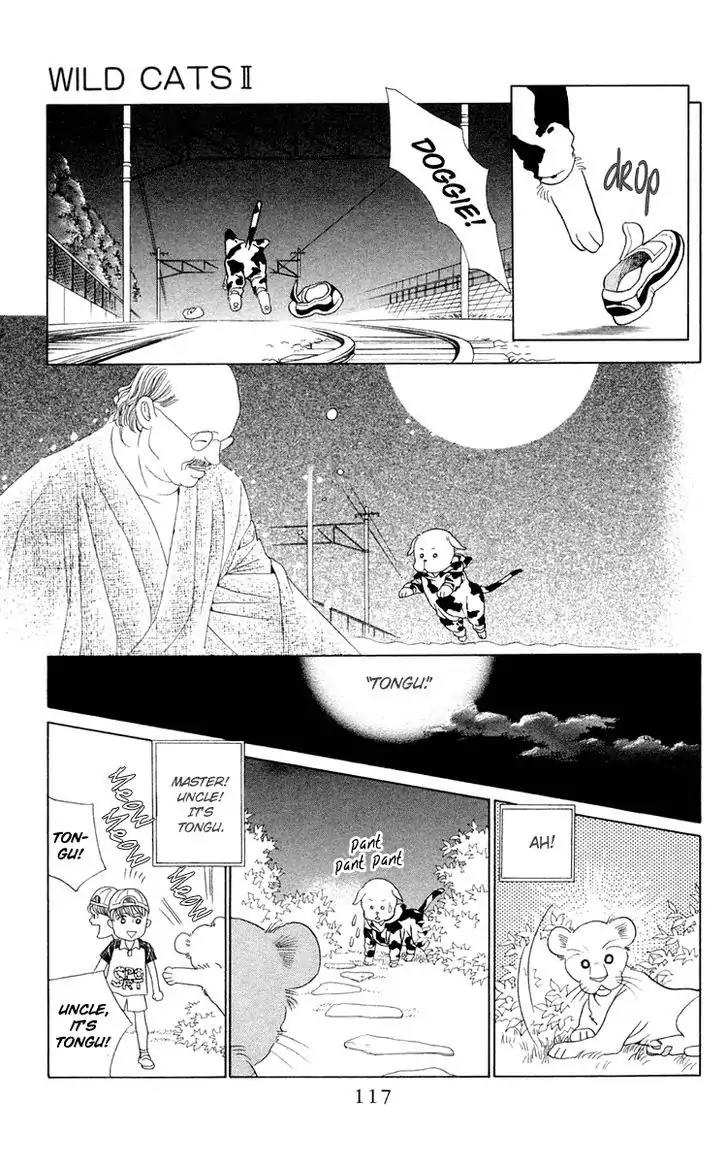 Wild Cats Chapter 2 page 43 - Chapter 2