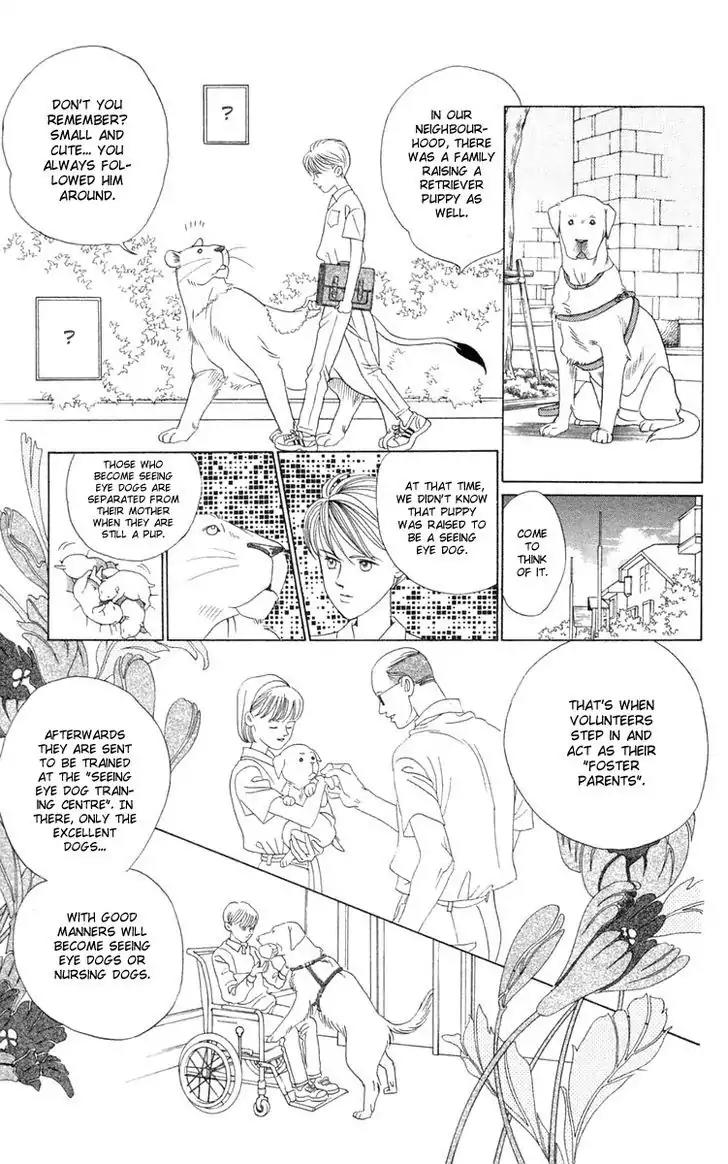 Wild Cats Chapter 2 page 63 - Chapter 2