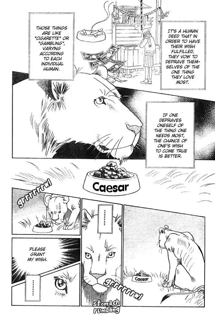 Wild Cats Chapter 3 page 47 - Chapter 3