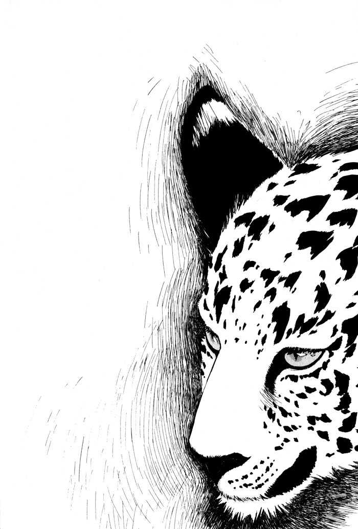 Wild Fangs Chapter 2 page 8 - Chapter 2 : The Journey Begins