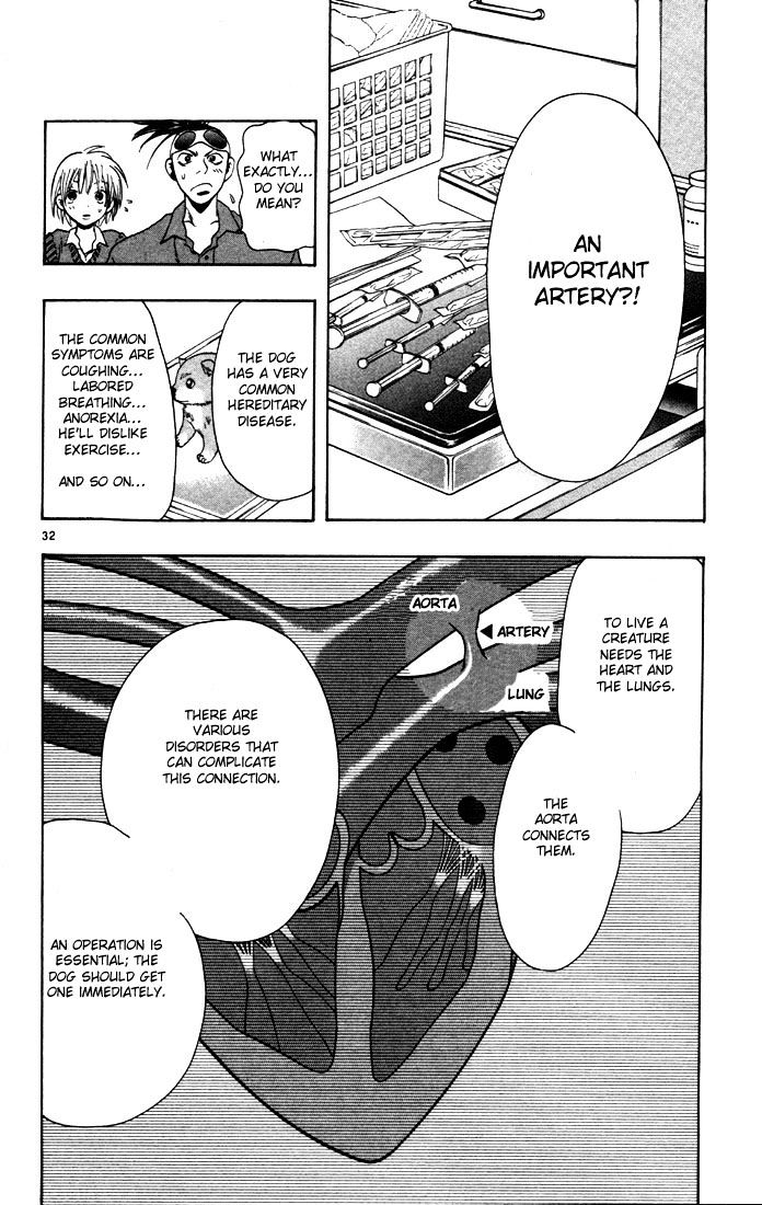 Wild Life Chapter 1 page 35 - Chapter 1 : Signpost of a dream