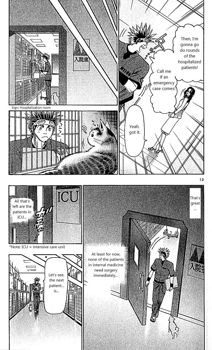 Wild Life Chapter 107 page 13 - Chapter 107 : The Factional Wall