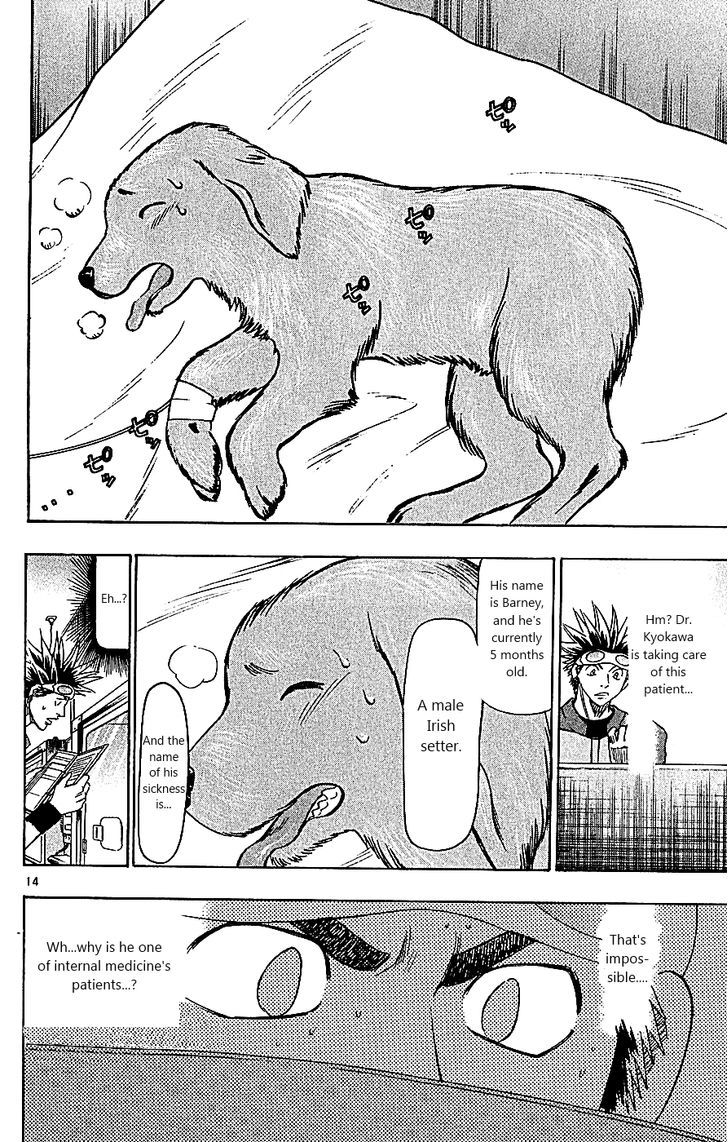 Wild Life Chapter 107 page 14 - Chapter 107 : The Factional Wall