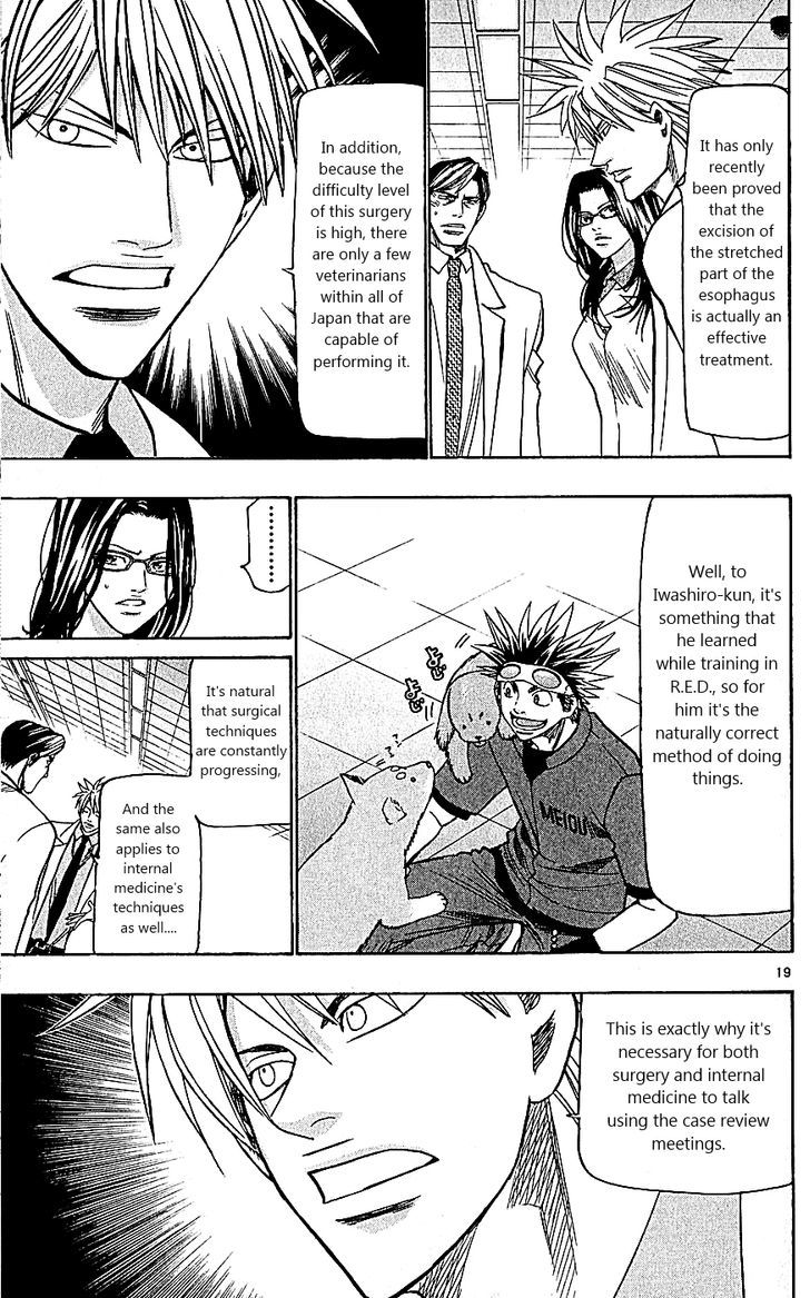 Wild Life Chapter 109 page 19 - Chapter 109 : A Single Life