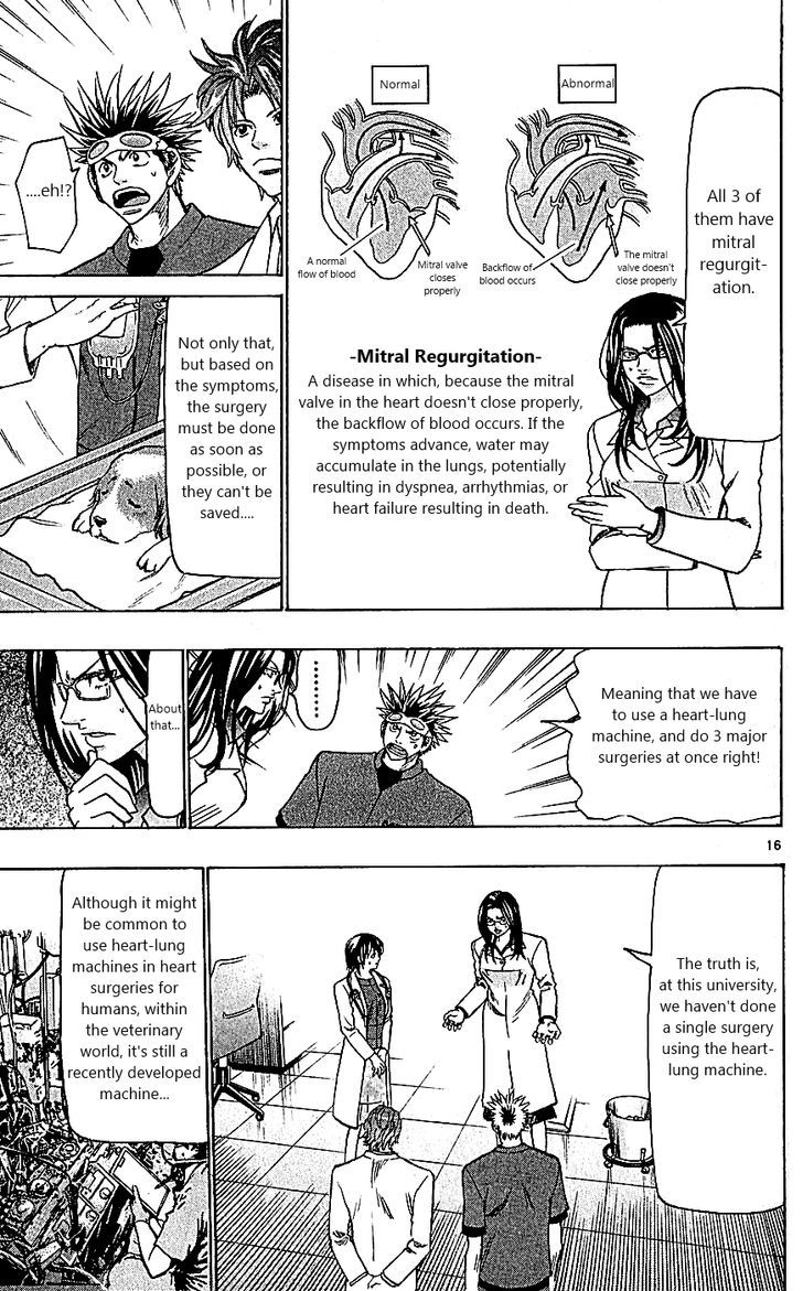 Wild Life Chapter 111 page 16 - Chapter 111 : A New Physician