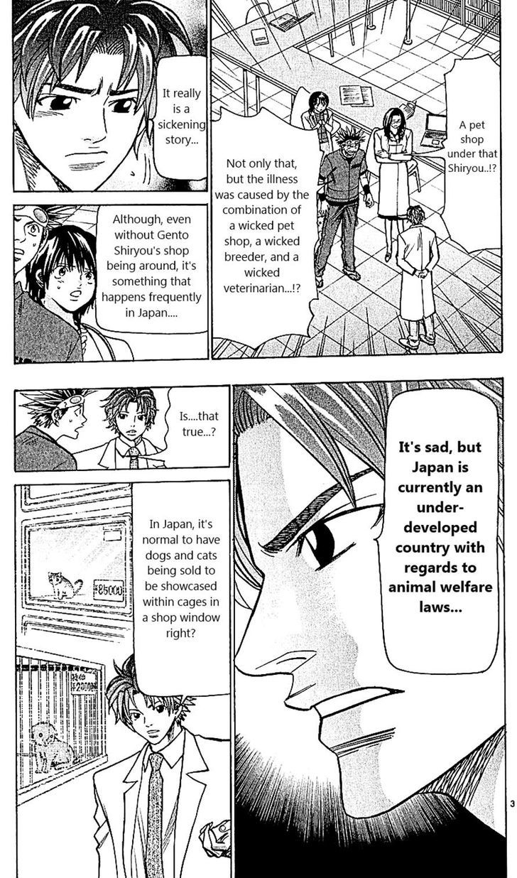 Wild Life Chapter 112 page 3 - Chapter 112 : The truth of the wicked pet businesses