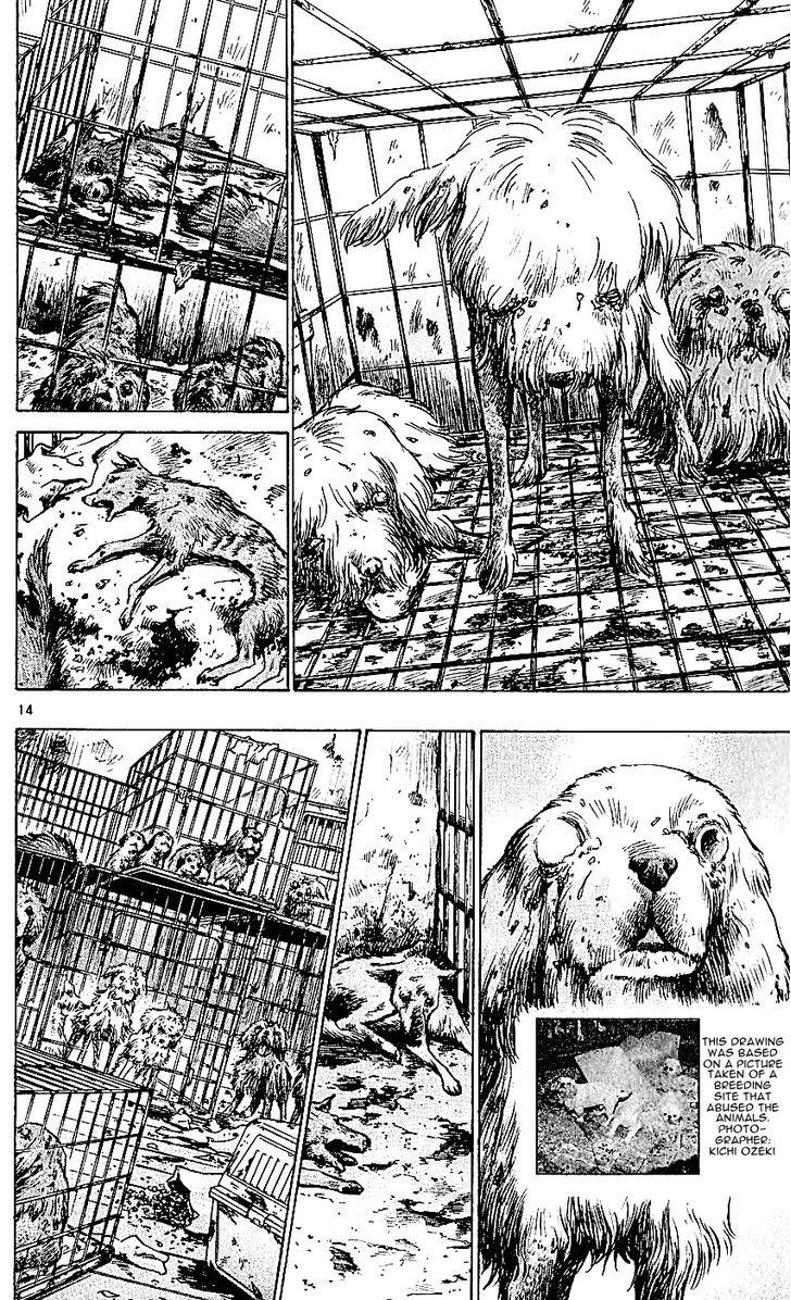 Wild Life Chapter 113 page 14 - Chapter 113 : The birthplace of pets