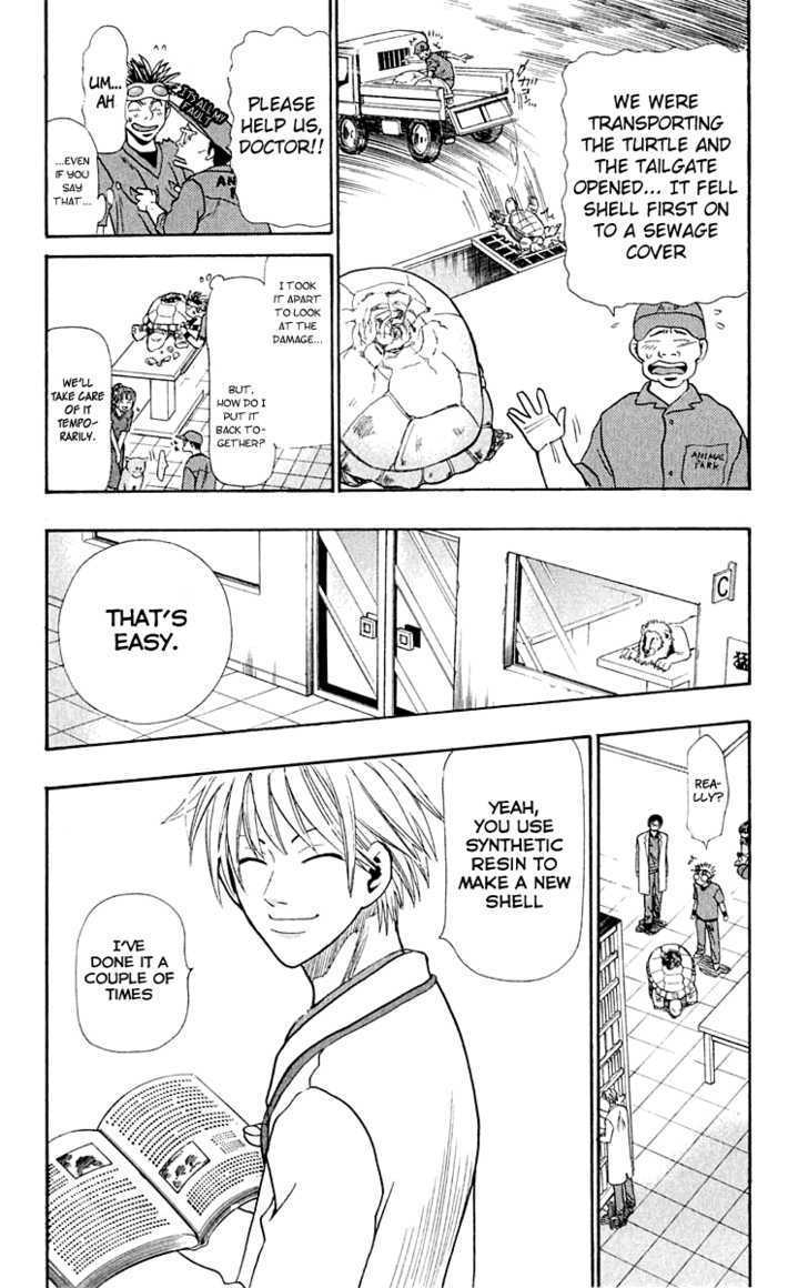 Wild Life Chapter 12 page 5 - Chapter 12 : Ryoutou and the Turtle