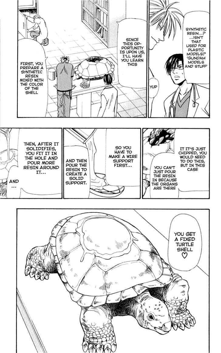 Wild Life Chapter 12 page 6 - Chapter 12 : Ryoutou and the Turtle