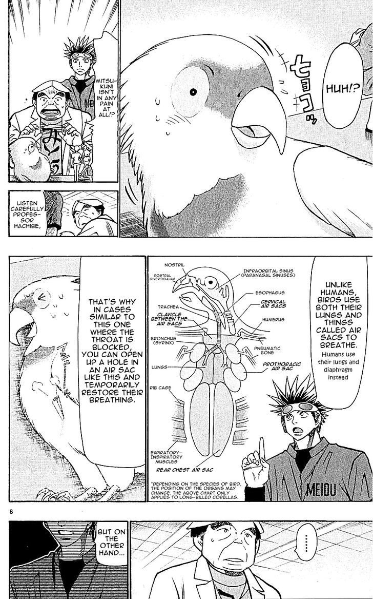 Wild Life Chapter 126 page 8 - Chapter 126 : Heinami's Plan