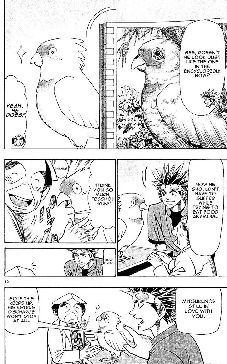 Wild Life Chapter 128 page 10 - Chapter 128 : Opening act treatment