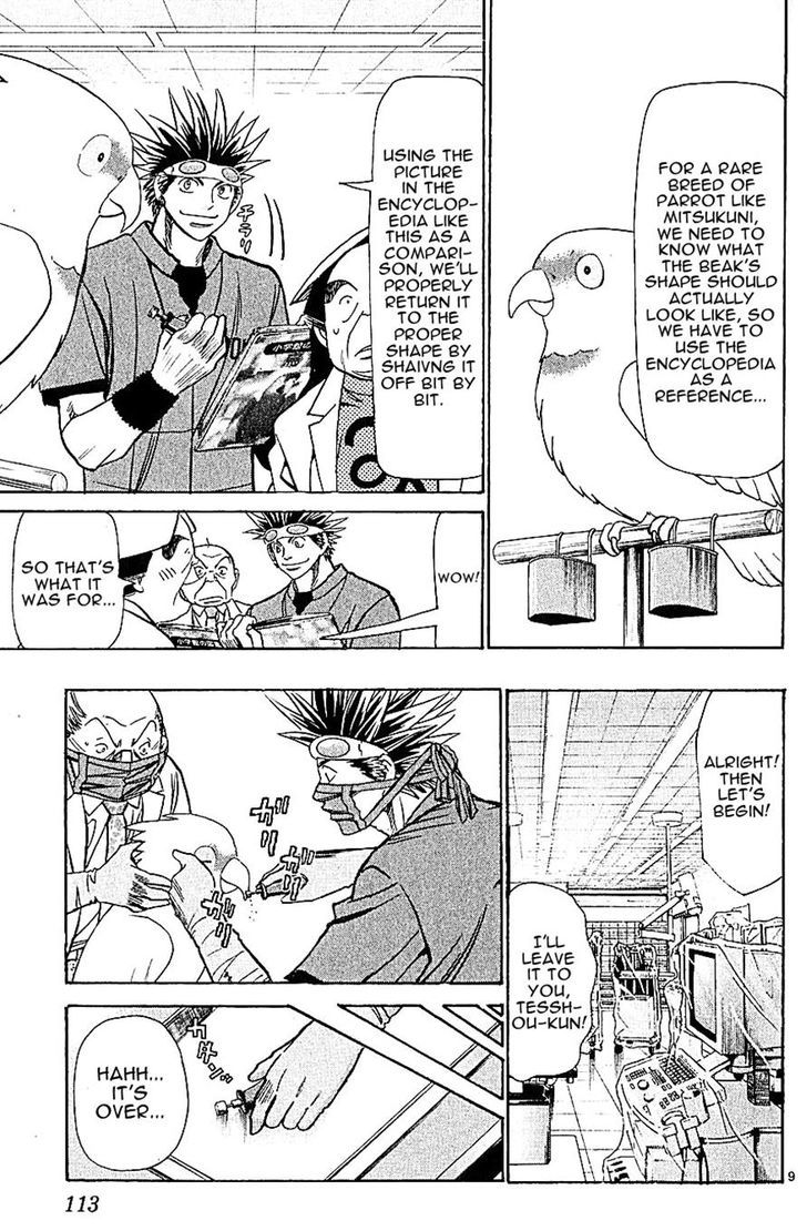 Wild Life Chapter 128 page 9 - Chapter 128 : Opening act treatment