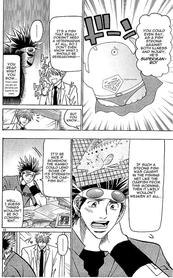 Wild Life Chapter 131 page 12 - Chapter 131 : The Manbo And Anko