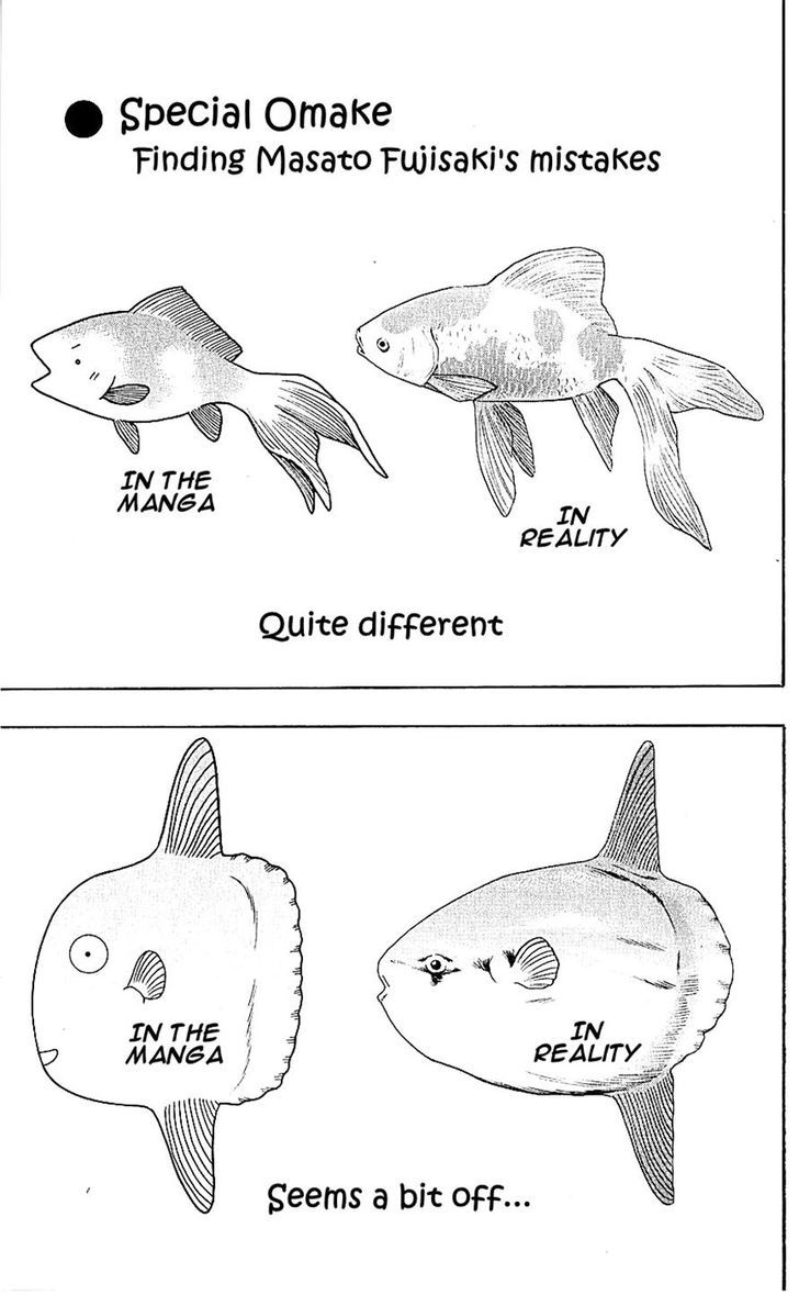 Wild Life Chapter 131 page 21 - Chapter 131 : The Manbo And Anko