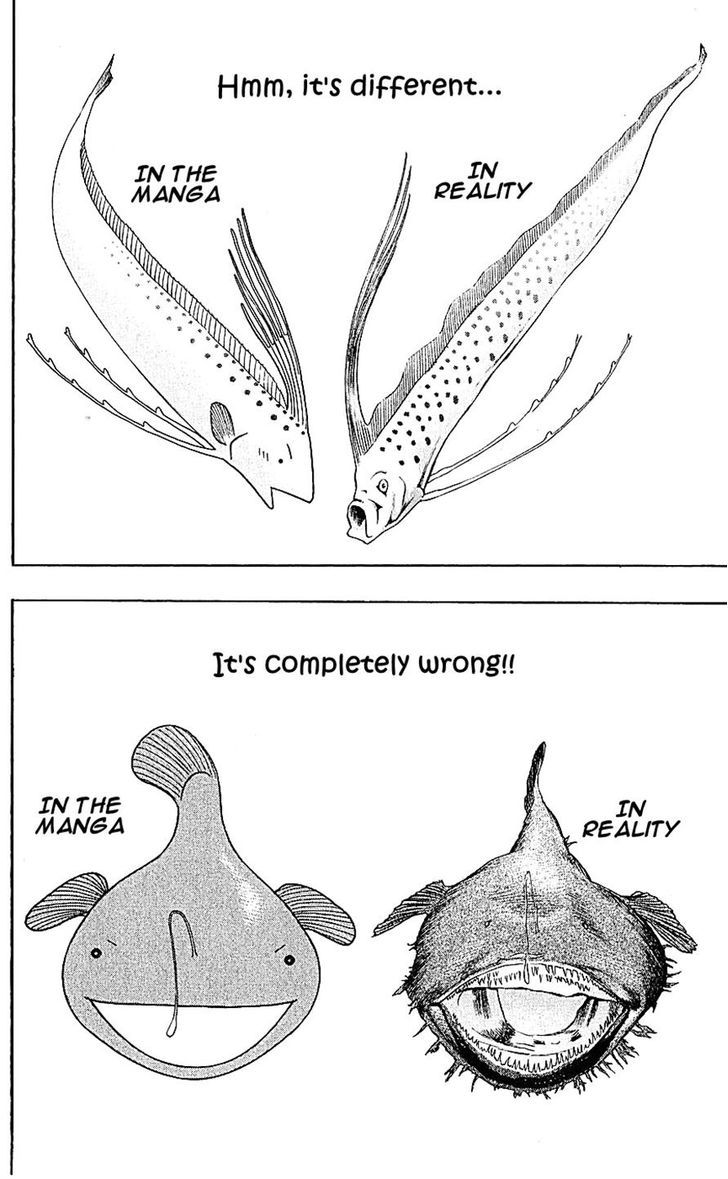 Wild Life Chapter 131 page 22 - Chapter 131 : The Manbo And Anko